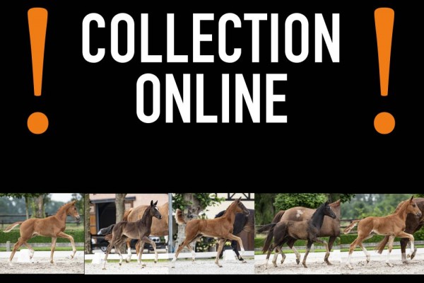 Collectie online!